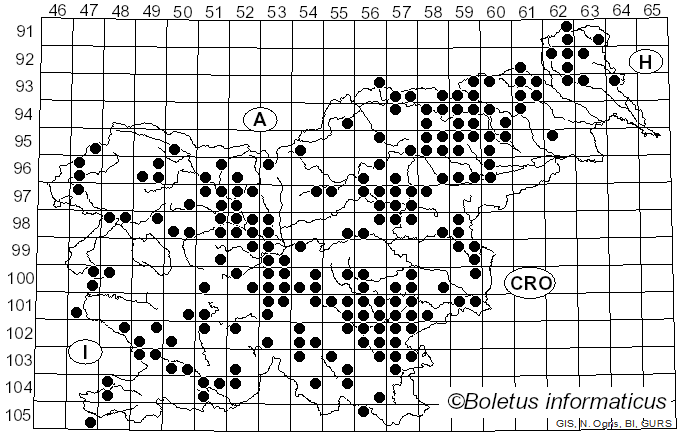 <i>Ramaria formosa</i> (Pers.) Quél. (1888)