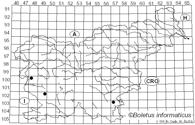 <i>Agaricus cupreobrunneus</i> (Jul. Schäff. & Steer) F.H. Møller