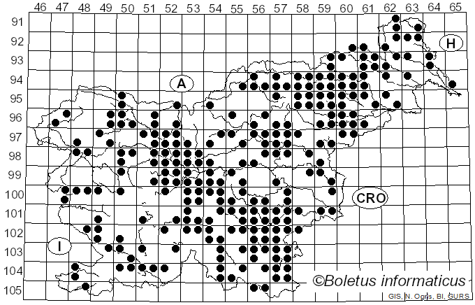 <i>Pluteus cervinus</i> (Schaeff.) P. Kumm. (1871)