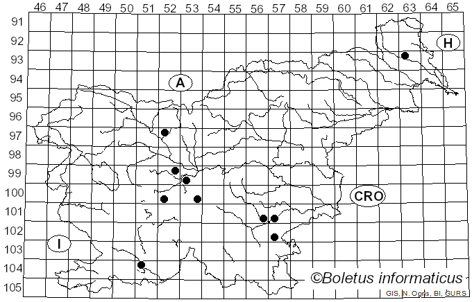 <i>Xerocomellus truncatus</i> (Singer, Snell & E.A. Dick) Klofac (2011)