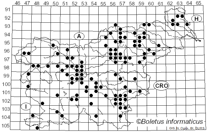 <i>Russula grisea</i> (Batsch) Fr. (1838)