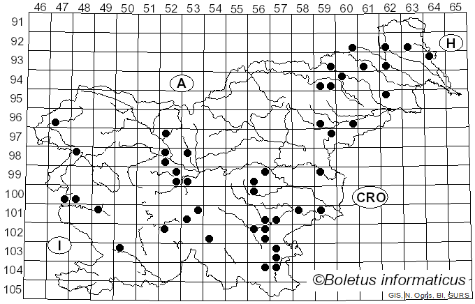 <i>Trametes trogii</i> Berk. (1850)