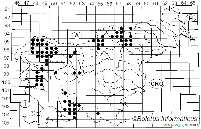 <i>Hypogymnia</i> (Nyl.) Nyl. (1896)
