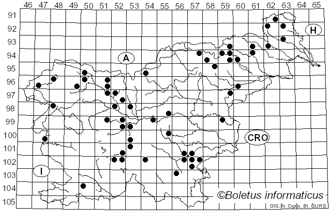 <i>Neoantrodia serialis</i> (Fr.) Audet (2017)