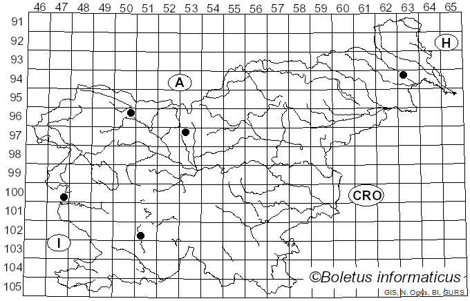 <i>Dermea</i> Fr. (1825)