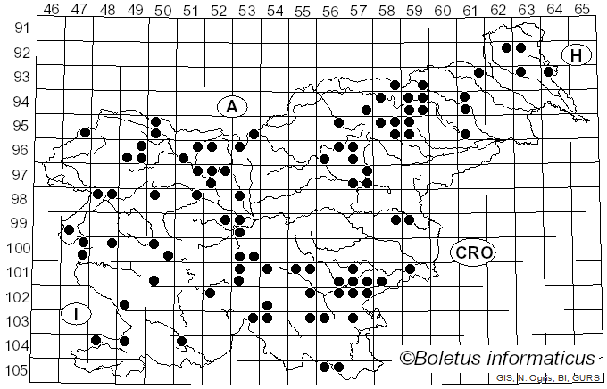 <i>Cortinarius venetus</i> (Fr.) Fr. (1838)