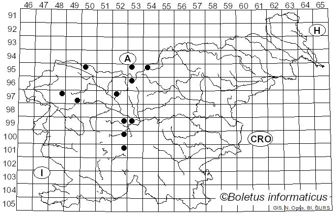 <i>Cheilosia carbonaria</i> Egger