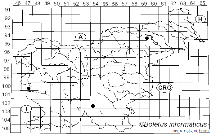 <i>Cortinarius bibulus</i> Quél. (1881)