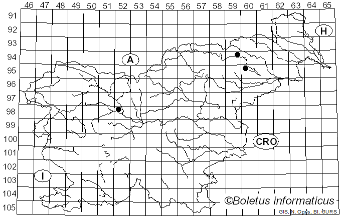 <i>Psathyrella gordonii</i> (Berk. & Broome) A. Pearson & Dennis (1948)