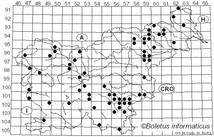 <i>Crepidotus cesatii</i> (Rabenh.) Sacc. (1877)