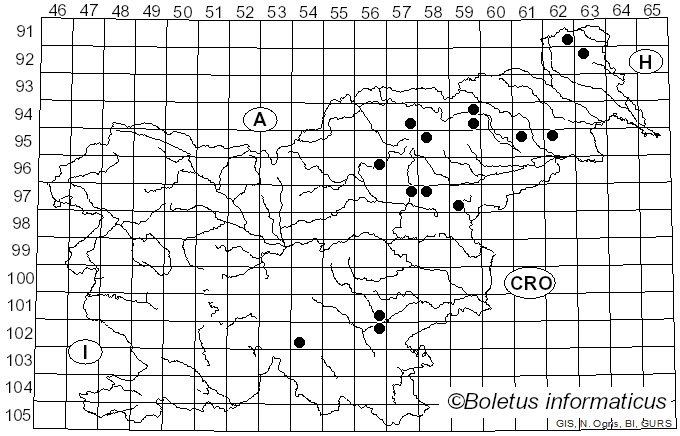 <i>Leccinum molle</i> (Bon) Bon (1989)