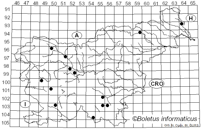 <i>Ceriporiopsis</i> Domanski (1963)