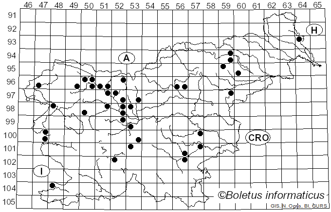<i>Tolypocladium capitatum</i> (Holmsk.) C.A. Quandt, Kepler & Spatafora (2014)