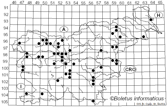 <i>Cordyceps</i> Fr. (1824)