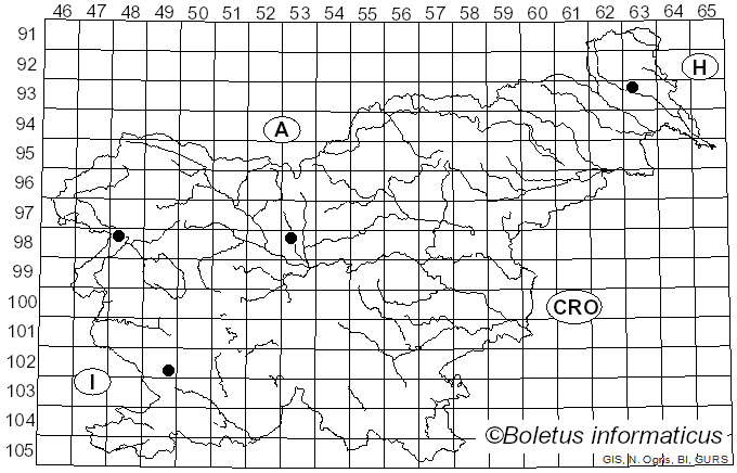 <i>Zhuliangomyces illinitus</i> (Fr.) Redhead (2019)