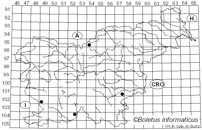 <i>Calonarius corrosus</i> (Fr.) Niskanen & Liimat. (2022)