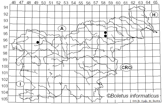 <i>Galerina tibiicystis</i> (G.F. Atk.) Kühner (1935)
