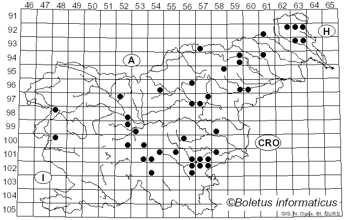 <i>Phellodon confluens</i> (Pers.) Pouzar (1956)