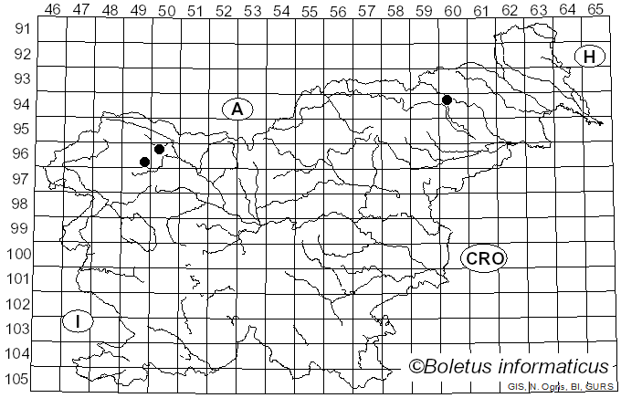 <i>Rhodofomes</i> Kotl. & Pouzar (1990)