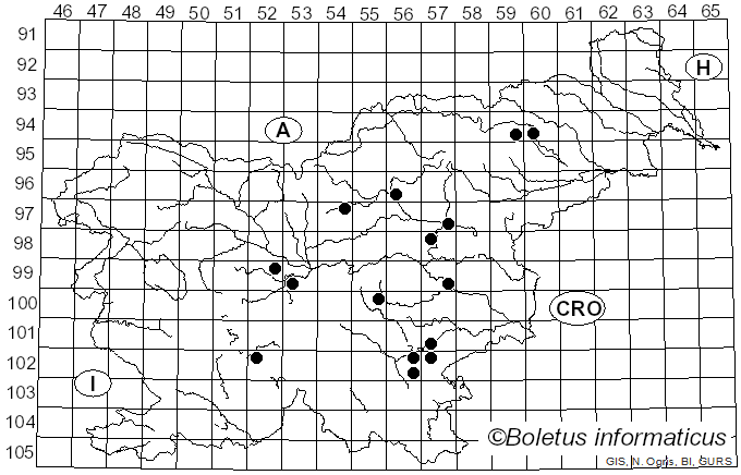 <i>Lentinula edodes</i> (Berk.) Pegler (1976)