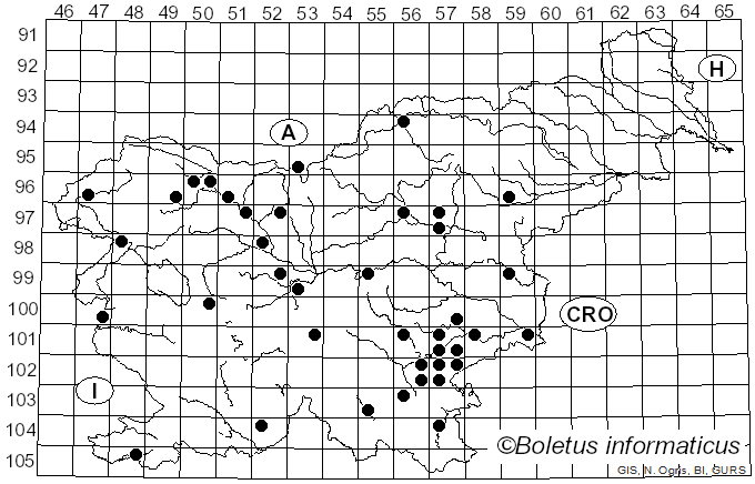 <i>Pluteus romellii</i> (Britzelm.) Lapl. (1895)