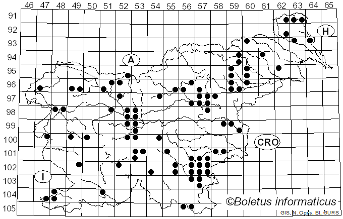 <i>Clitocybe dealbata</i> (Sowerby) Gillet (1874)