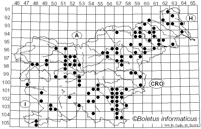 <i>Fomitiporia robusta</i> (P. Karst.) Fiasson & Niemelä (1984)