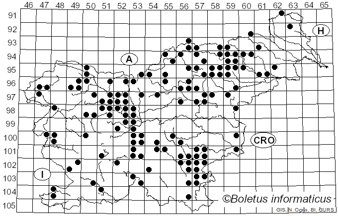 <i>Cortinarius traganus</i> (Fr.) Fr. (1838)