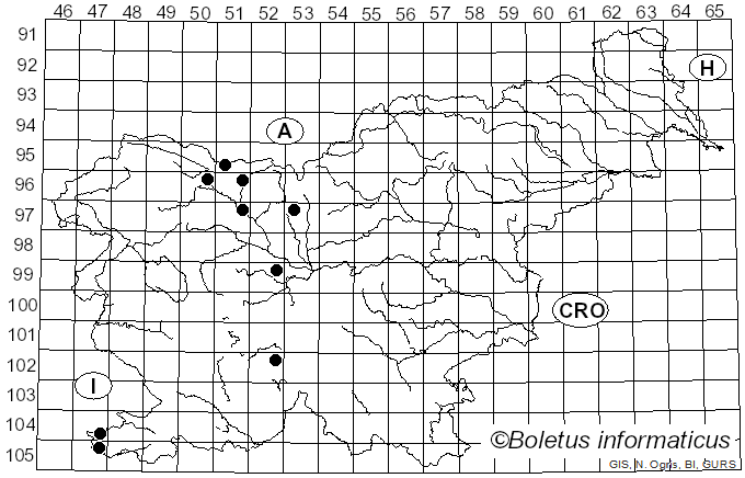 <i>Pleospora</i> Rabenh. ex Ces. & De Not. (1863)