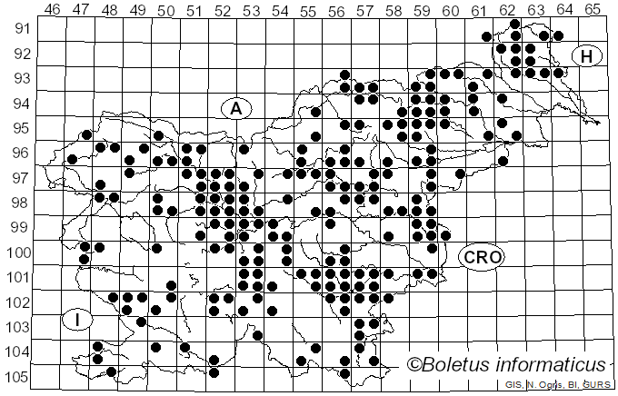 <i>Craterellus cornucopioides</i> (L.) Pers. (1825)