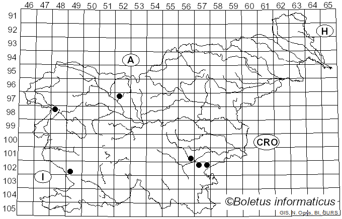 <i>Cortinarius papulosus</i> Fr.