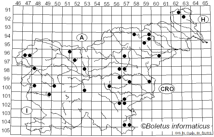 <i>Pluteus pellitus</i> (Pers.) P. Kumm. (1871)