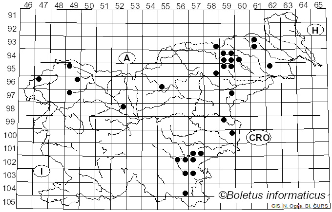 <i>Ramaria testaceoflava</i> (Bres.) Corner (1950)