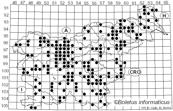 <i>Lycogala</i> Pers. (1794)