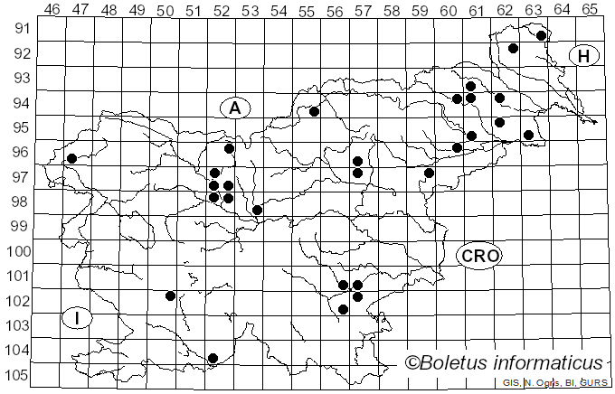 <i>Chlorophyllum olivieri</i> (Barla) Vellinga (2002)