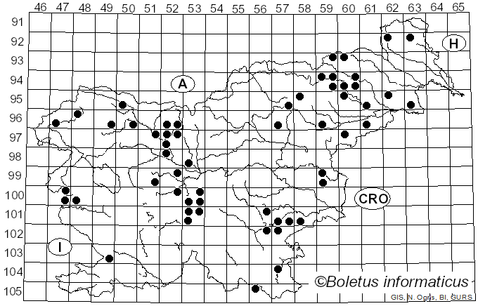 <i>Tubaria furfuracea</i> (Pers.) Gillet (1876)