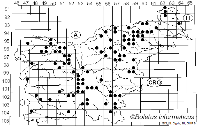 <i>Cortinarius varius</i> (Schaeff.) Fr. (1838)
