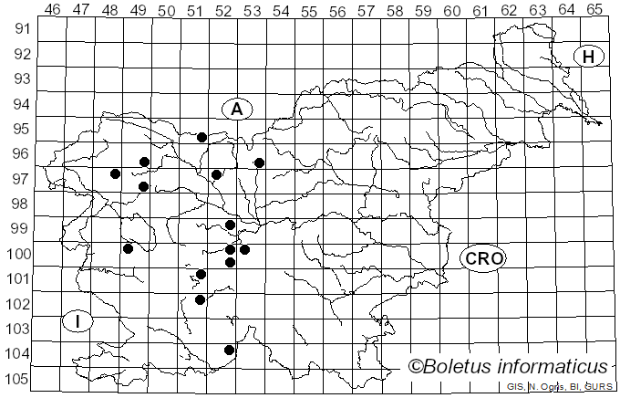 <i>Eupeodes lapponicus</i> Zetterstedt