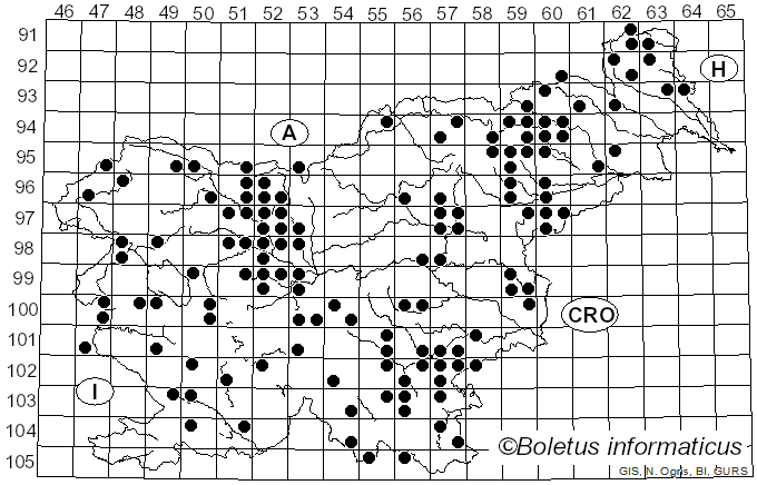 <i>Exidia nigricans</i> (With.) P. Roberts (2009)