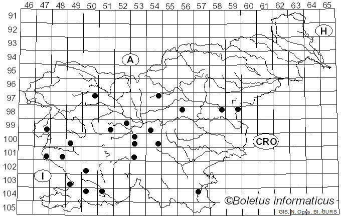 <i>Agrilus angustulus</i> Illiger (1803)