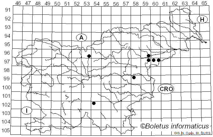 <i>Ophiostoma ulmi</i> (Buisman) Nannf. (1934)