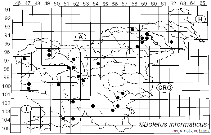 <i>Mycena aurantiomarginata</i> (Fr.) Quél. (1872)