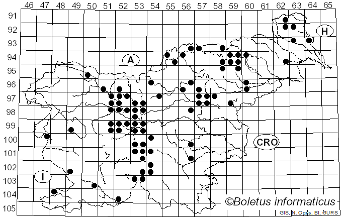 <i>Tricholoma colossus</i> (Fr.) Quél. (1872)