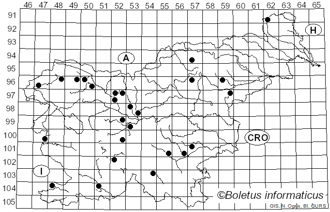 <i>Hypomyces lateritius</i> (Fr.) Tul. & C. Tul. (1860)