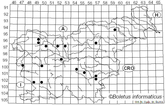 <i>Clitocybe catinus</i> (Fr.) Quél. (1872)
