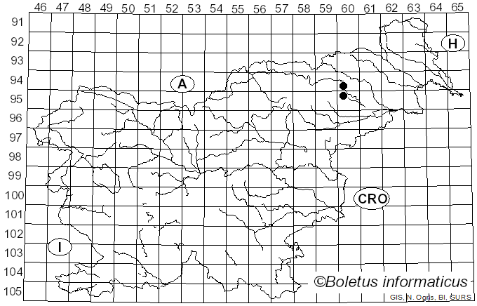 <i>Conocybe bulbifera</i> (Kauffman) Romagn. (1942)