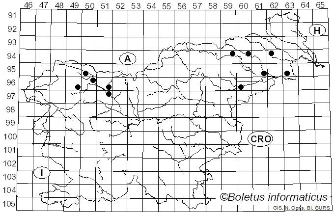 <i>Diatrype decorticata</i> (Pers.) Rappaz (1987)