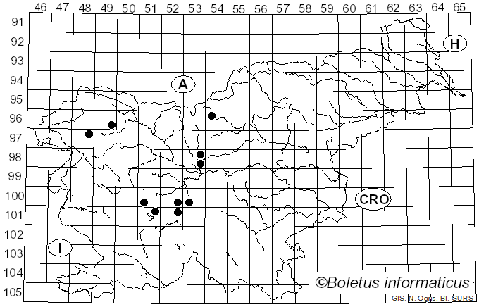<i>Sphegina montana</i> Becker