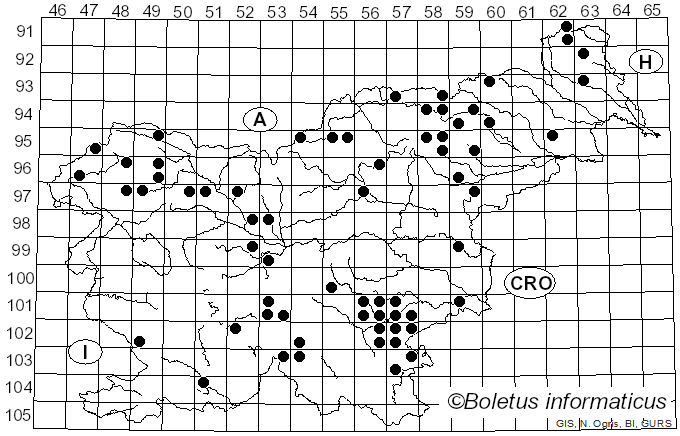 <i>Russula firmula</i> Jul. Schäff. (1940)