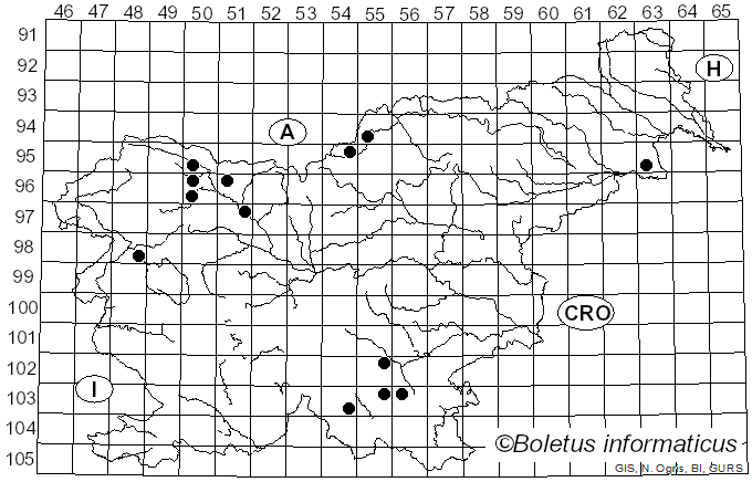 <i>Resinicium</i> Parmasto (1968)